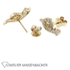 Schlangen Ohrstecker in 585/- Gelbgold
