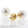 Perlohrstecker mit wunderschöner Akoya Zuchtperle Gold – Bild 3
